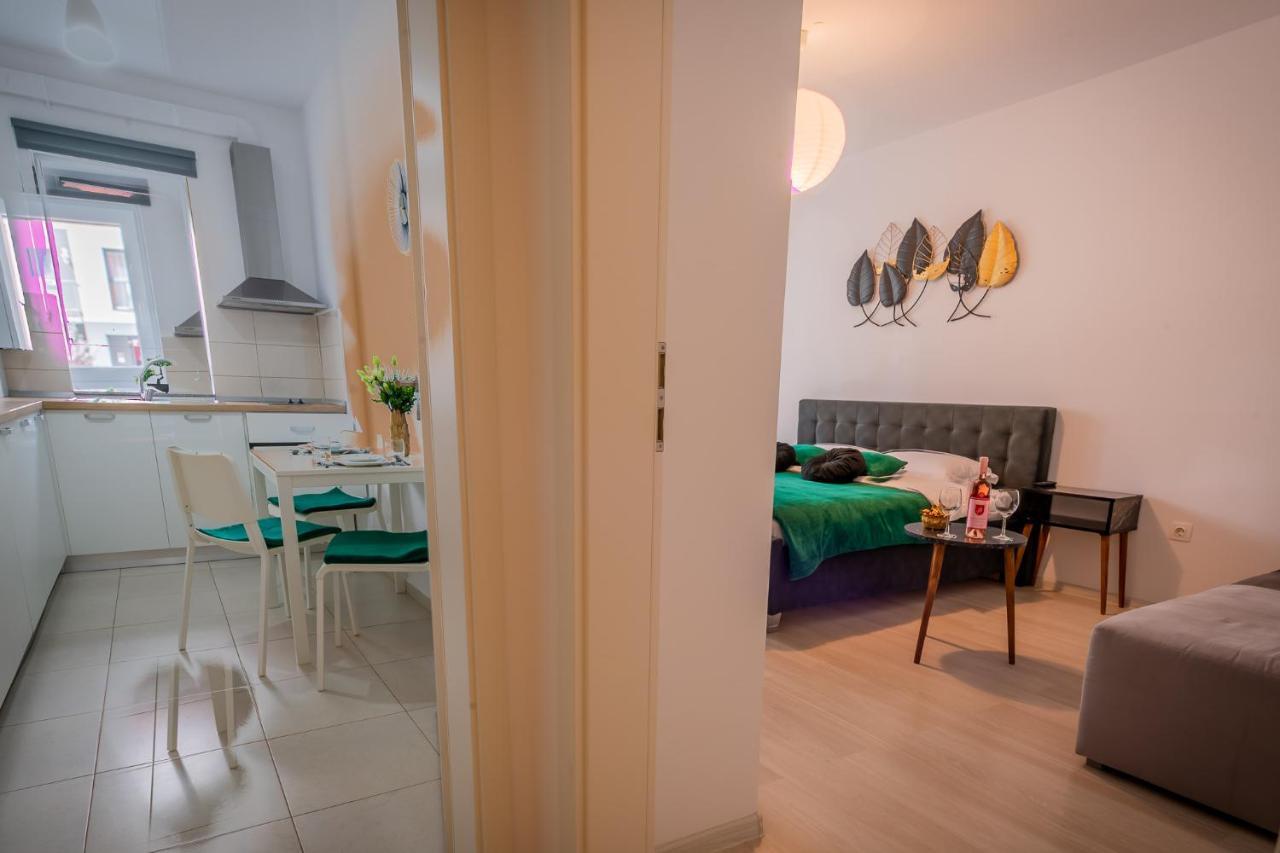 Coresi Vibe Studio Brașov Exterior foto