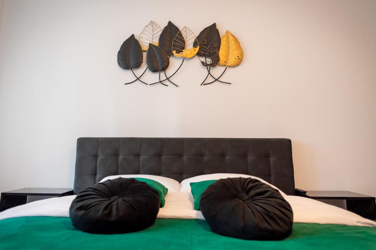 Coresi Vibe Studio Brașov Exterior foto